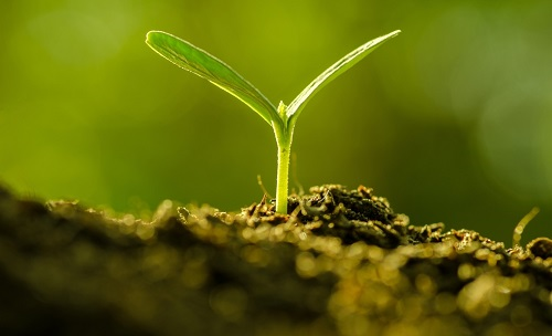 為避免誤導(dǎo)用戶，便攜式土壤水分速測儀使用需注意