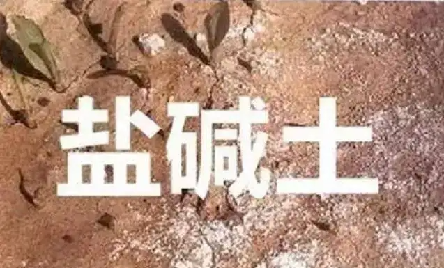 作物為什么生長不健康，用土壤EC計(jì)測測便知