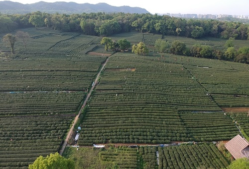 肥料不是越多越，利用測土儀提高化肥利用率