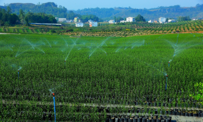 利用土壤水分測(cè)定儀實(shí)現(xiàn)精準(zhǔn)灌溉，按需灌溉